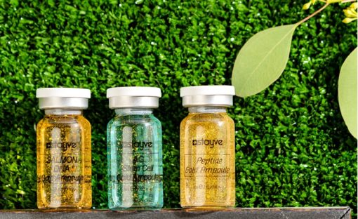 Stayve Ampoules